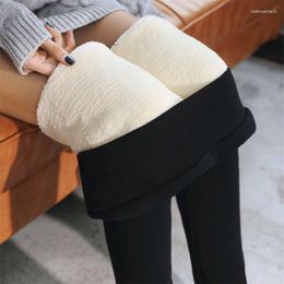 Women's Leggings Women Winter Plus Velvet Stretch Solid Color High Waist Warm Lamb Cashmere Thick