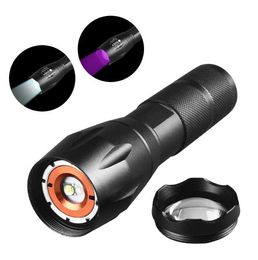 Powerful Keychain UV Flashlight Outdoor Emergency Daul Light socurce Ultra Violet Ultraviolet 395nm USB Rechargeable UV Money Detection LED Torch Light