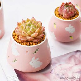 Planters Pots Pot Bunga Lucu Pink Kelinci Pot Sukulen Penanam Rumah Desktop Taman Pot Tanaman Bonsai R230807