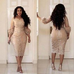 African Champagne Plus Size Mother of the Bride Dresses Lace Applique 3 4 Sleeves Tea Length Wedding Guest Gowns Formal Evening Dr236G