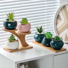 Planters Pots Oval Bambu Kayu Piring Tanaman Nampan Mini Tanaman Bunga Pot Berdiri Nikmat Pot Sukulen Nampan Sederhana Elegan Desain Rumah Balkon