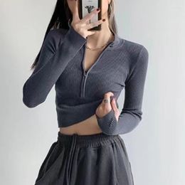 Women's Sweaters 2023 Solid Colour Casual Bodycon Party Club T-shirt Women Long Sleeves Turtleneck Crop Tops Sexy Simple Style Spring Summer