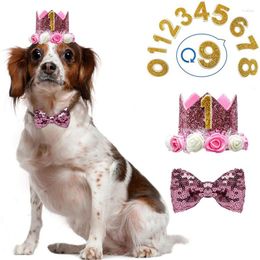 Conjunto de acessórios para decoração de arco ajustável para roupas de cachorro com pingentes de 0 a 9 figuras
