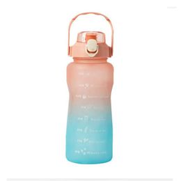 Water Bottles 2000ml Bottle Sport Cup BPA Free Outdoor Travel Portable Bounce Leakproof Drinkware GYM Jug Drink Camping Supplies