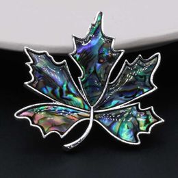 Pins Brooches Hot selling natural fashion maple leaf shaped abalone shell alloy brooch 45x45mm HKD230807