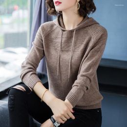 Women's Sweaters Cashmere Knitted Jumpers Woman Sweater Hooded Korean Style Fashion Pullover Female Woollen Knitwear Clothes Tops 5079