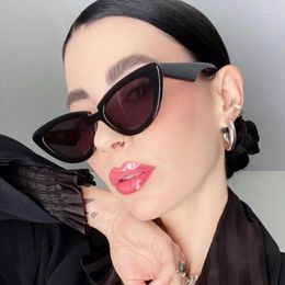 Sunglasses 2023 Trend Wild Eyewear Classi Vintage Cat Eye For Sexy Women Designer Cateye Men