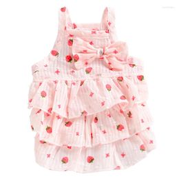 Dog Apparel Cute Strawberry Dress Tutu Bowknot Cat Skirt Yorkie Yorkshire Terrier Pomeranian Clothes Puppy Pet Products