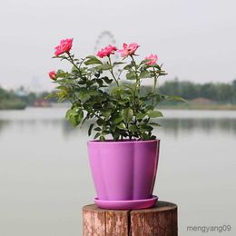 Planters Pots Pot Bunga Plastik Sukulen Tanaman Bonsai Penanam R230807