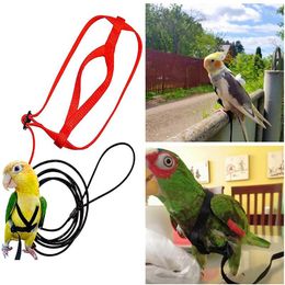 Other Bird Supplies Pet Parrot Harness Leash Adjustable Training Anti-Bite Rope For Parrots Suitable Scarlet Keck Mini Macaw Birds