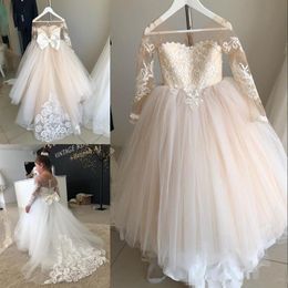 Ball Gown Long Sleeves Flower Girl Dresses For Wedding Lace Appliqued Little Girls Pageant Gowns Tulle Sheer Neck First Communion 252g