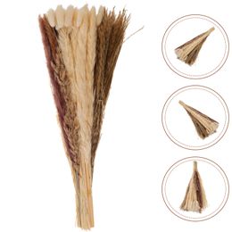 Decorative Flowers Wreaths Hay Preserved Reed Decor Bouquet Simulation Pampas Grass Artificial For Vase Layout Props DIY 230808