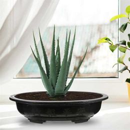 Planters Pots buah dek luar ruangan Pot bunga Bonsai Oval Pot plastik berkebun 38x26cm besar Pot bunga