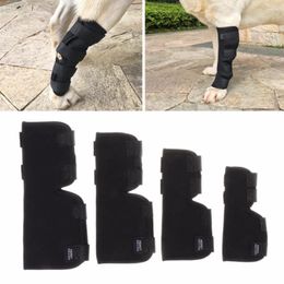 Dog Apparel 1 Pair Black Legs Brace Pet Knee Hock Protector Dogs Pad Therapeutic Support Shockproof Outdoor Training Protect 4 Size C42