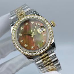 Women's Automatic Mechanical Watch shell date face 36mm diamond bezel stainless steel folding buckle women's watch