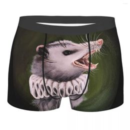 Underpants Male Cool Opossum Underwear Boxer Briefs Men Soft Shorts