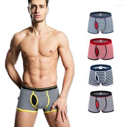 Underpants Mid Waist Men's Striped Boxer Knitted Open Underwear Sports Breathable Cotton Youth