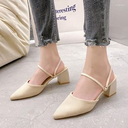 Sandals Women Mules 2023 Summer Pointed Toe Chunky Heels Ladies Slippers Fashion Plus Size Dress Party Mid Heel Shoes