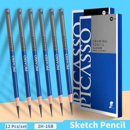 Pencils PICASSO 12 Pcs Sketch Pencils Black Set Drawing Pencil Set For Artists Sketch Charcoal Pencil Sketching Drawing Art Supplies 230807