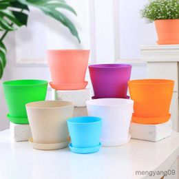 Planters Pots Pot Bunga Plastik Pekebun Mini Warna-warni Pot Bunga Sukulen Rumah Kantor Desktop Taman R230808