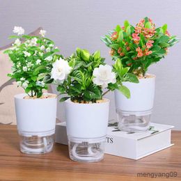 Planters Pots Diri Penyiraman Pot Tanaman Mini Pot Tanaman Sukulen Dalam Ruangan Rumah Taman Pot Bunga Kantor Kebun Persediaan R230808