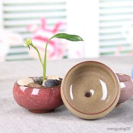 Planters Pots Pot Bunga Retak Berair Rumah dan Taman Bonsai Kecil Pot Tanaman Sukulen Rumah R230808