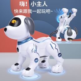 ElectricRC Animals Creative Expert Puppy Robot Programming Remote Control Electric Dog Educational Intelligent Toys Birthday Gifts for Boy and Girl 230807