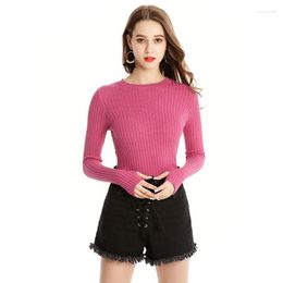 Women's Sweaters Lady Knitted Shirt Knitting Dress Sweater Long Sleeve O Neck Lady's Winter Warm Coat Knit 7 Colours B-9289