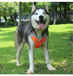 Dog Collars Manufacturers Wholesale Nylon Lead Rope Tensile Pet P Chain Strap Walk Leash