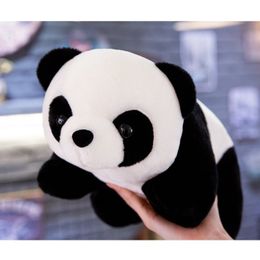 Plush Dolls 20cm Cute Lying Panda Doll National Treasure Zoo Plush Toy 230807