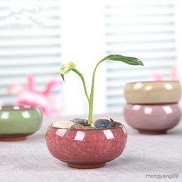 Planters Pots Bonsai Pot Bunga Mini Pot Tanaman Bunga Sukulen Kantor untuk Taman Tamu Balkon R230808