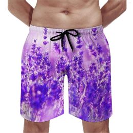 Men's Shorts Lavender Fields Board Beautiful Purple Flowers Comfortable Beach Elastic Waist Plus Size Pants Males