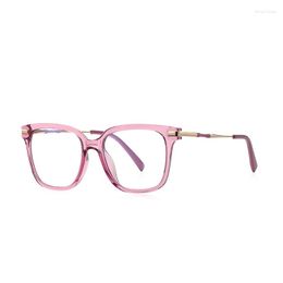 Sunglasses TR Anti Blue Light Retro Rivets Square Optical Glasses Frames Spring Hinge Double Colors Computer Eyeglasses