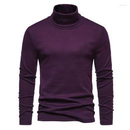 Men's Sweaters Mens Purple Turtleneck Sweater Autumn Winter Long Sleeve Warm Casual Basic Tops Slim Fit Pullovers Undershirt Men 12 Colours