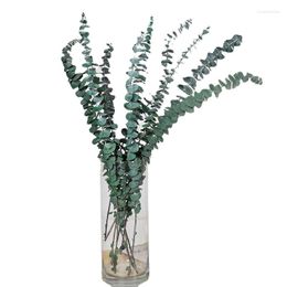 Decorative Flowers 5 Pcs Natural Dried Eucalyptus Leaves Flower Real Plant Branches Stems DIY Bouquet Material Wedding Home Party Items