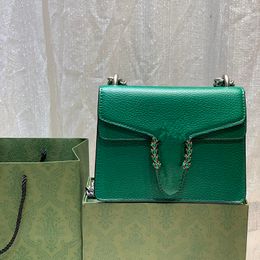 Designer Handbags Top Qualitys Women Chain Shoulder Crossbody Bags Lady Purse Messenger Bag Wallets Backpack Female CHD23080810 pinkwindow
