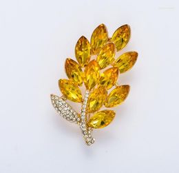 Brooches Fashion Girl Dress Crystal High Quality Rhinestone Broach Jogos Vorazes Leaves For Women Wedding X1452