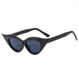 Sunglasses Retro Cat Eye Sunglass For Women Fashion Classic Design Glasses Ladies Outdoor Uv400 Shades Lunette Soleil Femme