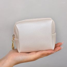 Storage Bags Women's Cosmetic Mini Pretty Jewellery Korean Fashion Outdoor Convenient Portable