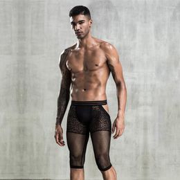 Underpants Male Erotic Panties Black Perspective Mesh Pants Men's Nickel Elastic Sexy Temptation Boxer Effeminate Gay