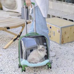Cat Carriers Backpacks Travel Cats Cage Transporters Outdoor Transportin Mochila Para Gatos Pets Products Dogs