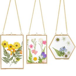 Frames 3 Packs Pressed Flowers Glass Frames Golden Hanging Picture With Chain Floating DIY Artwork Display 230810