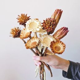 Decorative Flowers Natural Dried Africa Feather Daisy Snow Lotus Sun Flower Wedding Arrangement Home Party Decor DIY Craft Accessories