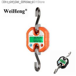 150kg Digital Crane Scale 150kg 50g Portable Stainless Steel Hook Hanging Scale Fish Ring Heavy Duty Balanced Green Backlight Z230811