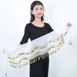 Stage Wear Belly Dance Waist Chain Three Layer Chiffon Belt Cover Hip Scarf Gold Coin Ornament