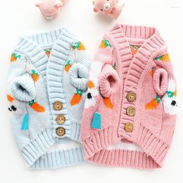 Dog Apparel Autumn And Winter Clothes Cat Princess Sweater Cardigan Cute Puppy Pet Clothing