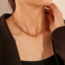 Chains Stainless Steel Chain Necklace For Women Simple Short Double Collarbone Ladies Fashion Jewellery Europe And America
