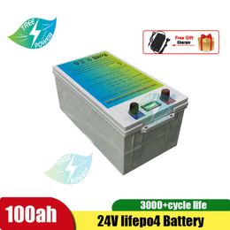 24V 100Ah LiFePo4 for RV/Marine/Solar /Golf cart/UPS/Camping car+10A charger