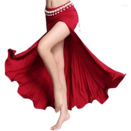 Stage Wear Long Skirt Belly Dance Split Fishtail Performance Practise Exercise Clothing