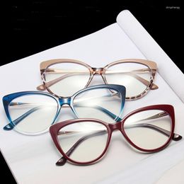 Sunglasses Retro Anti Blue Glasses TR90 Metal Fashion Spring Leg Plain Glass Spectacles Women Men Cat Eye Frame Light Clear